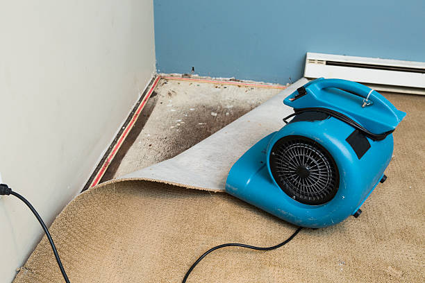 Best Basement Water Damage Restoration in South San Gabriel, CA